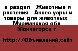  в раздел : Животные и растения » Аксесcуары и товары для животных . Мурманская обл.,Мончегорск г.